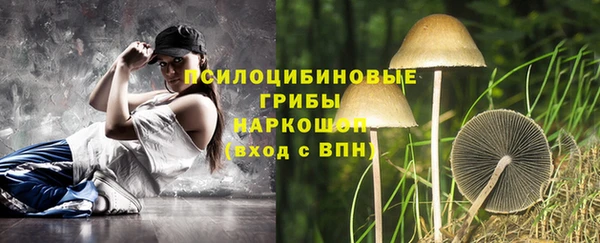 бошки Балахна