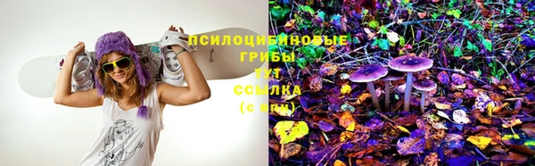 бошки Балахна