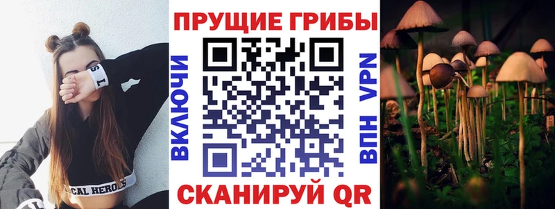 Галлюциногенные грибы ЛСД Новочеркасск