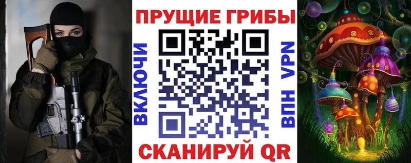 купить наркоту  Новочеркасск  площадка наркотические препараты  Псилоцибиновые грибы мицелий 